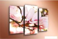 Модульная картина Arthata m-000288 75x50