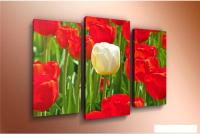 Модульная картина Arthata m-000570 75x50