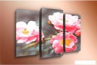 Модульная картина Arthata m-000523 120x80