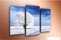 Модульная картина Arthata m-000345 90x60