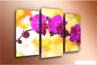 Модульная картина Arthata m-000481 120x80