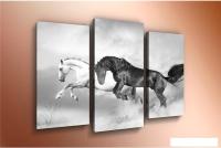 Модульная картина Arthata m-000594 75x50