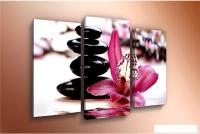 Модульная картина Arthata m-002442 75x50