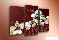 Модульная картина Arthata m-000208 75x50