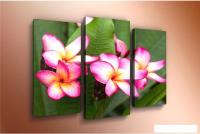 Модульная картина Arthata m-000222 90x60