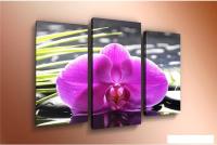 Модульная картина Arthata m-000259 75x50