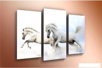 Модульная картина Arthata m-000328 90x60