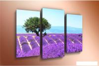 Модульная картина Arthata m-000197 120x80