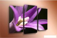 Модульная картина Arthata m-000217 90x60