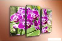 Модульная картина Arthata m-000578 120x80