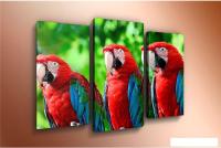 Модульная картина Arthata m-000444 120x80