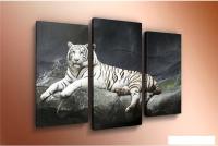 Модульная картина Arthata m-000311 75x50