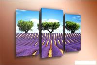 Модульная картина Arthata m-000337 90x60