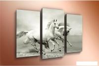 Модульная картина Arthata m-000330 120x80