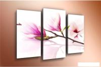 Модульная картина Arthata m-000253 90x60