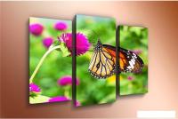 Модульная картина Arthata m-000160 90x60