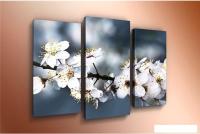 Модульная картина Arthata m-000532 120x80