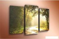 Модульная картина Arthata m-000159 120x80