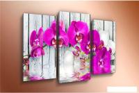 Модульная картина Arthata m-002448 120x80