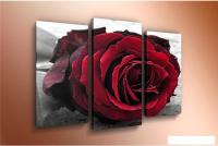 Модульная картина Arthata m-000568 90x60