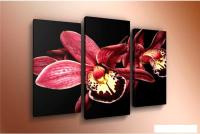 Модульная картина Arthata m-000329 120x80