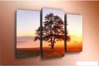 Модульная картина Arthata m-000348 90x60