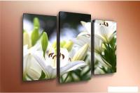 Модульная картина Arthata m-000483 90x60