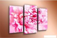 Модульная картина Arthata m-000200 75x50