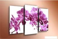 Модульная картина Arthata m-000579 120x80