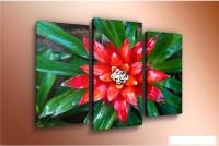 Модульная картина Arthata m-000243 90x60