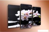 Модульная картина Arthata m-000252 75x50