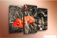 Модульная картина Arthata m-000289 75x50