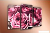 Модульная картина Arthata m-000468 120x80