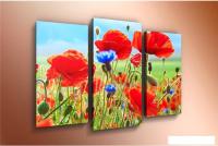 Модульная картина Arthata m-000520 120x80