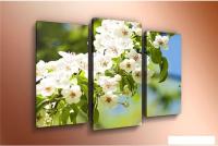 Модульная картина Arthata m-000205 120x80