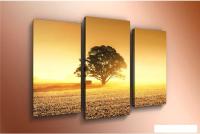 Модульная картина Arthata m-000357 120x80