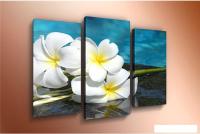 Модульная картина Arthata m-000616 90x60