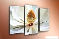 Модульная картина Arthata m-000204 90x60