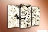 Модульная картина Arthata m-000564 90x60