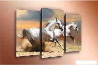 Модульная картина Arthata m-000324 75x50