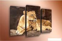 Модульная картина Arthata m-000147 120x80