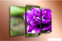 Модульная картина Arthata m-000201 90x60