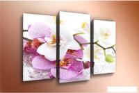 Модульная картина Arthata m-000758 90x60