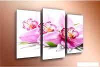 Модульная картина Arthata m-000527 120x80