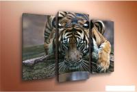 Модульная картина Arthata m-000312 90x60