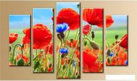 Модульная картина Arthata 5m-518 160x90