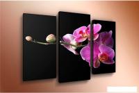 Модульная картина Arthata m-000467 90x60