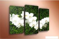 Модульная картина Arthata m-000300 90x60