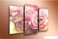 Модульная картина Arthata m-000227 75x50