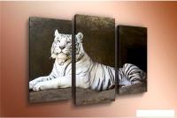 Модульная картина Arthata m-000315 75x50